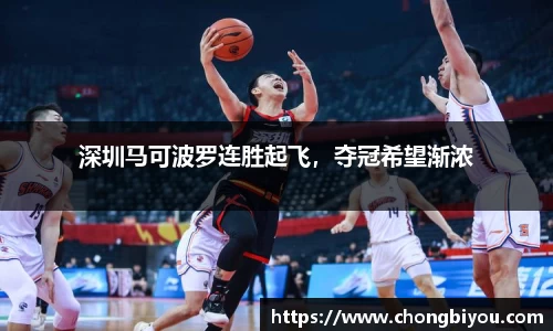 bsports官网入口