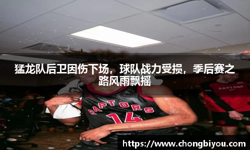 猛龙队后卫因伤下场，球队战力受损，季后赛之路风雨飘摇