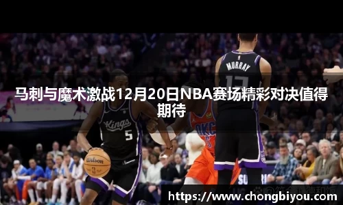 B体育bsports